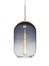 Besa Lighting J-OMEGA12ST-EDIL-SN - Besa, Omega 12 Cord Pendant For Multiport Canopies, Steel/Clear, Satin Nickel Finish,