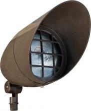 Dabmar FG23-BZ - FIBERGLASS HOODED SPOT LIGHT PAR38 120V