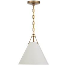 Crystorama XAV-B8301-VG - Xavier 1 Light Vibrant Gold Mini Pendant