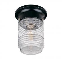 Acclaim Lighting 101BK - Builder's Choice Collection Ceiling-Mount 1-Light Outdoor Matte Black Light Fixture