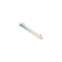 Dals DCP-LNR24-WH - DCP Recessed linear 24" RGB + 5CCT