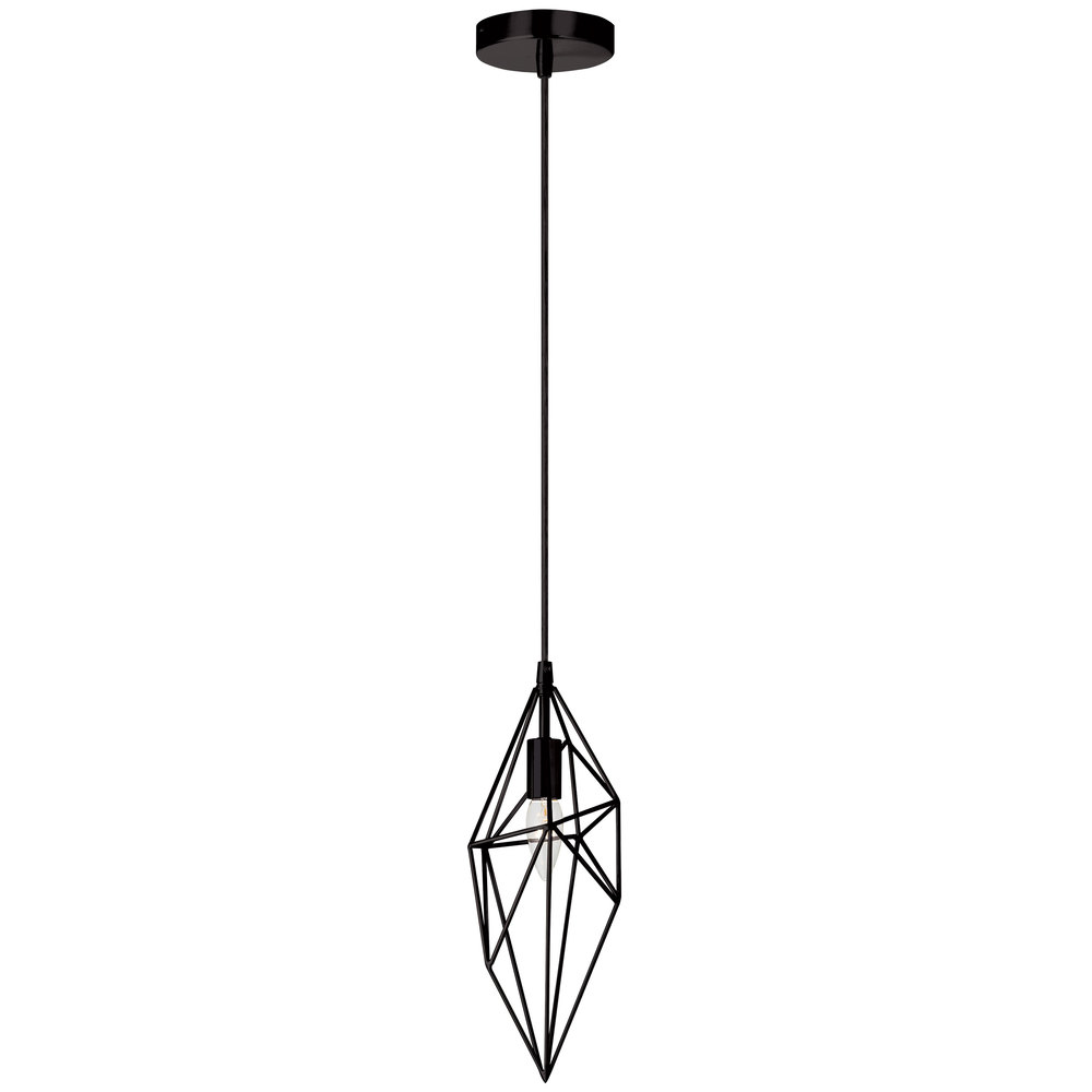 1 Light Incandescent Pendant, Black Finish