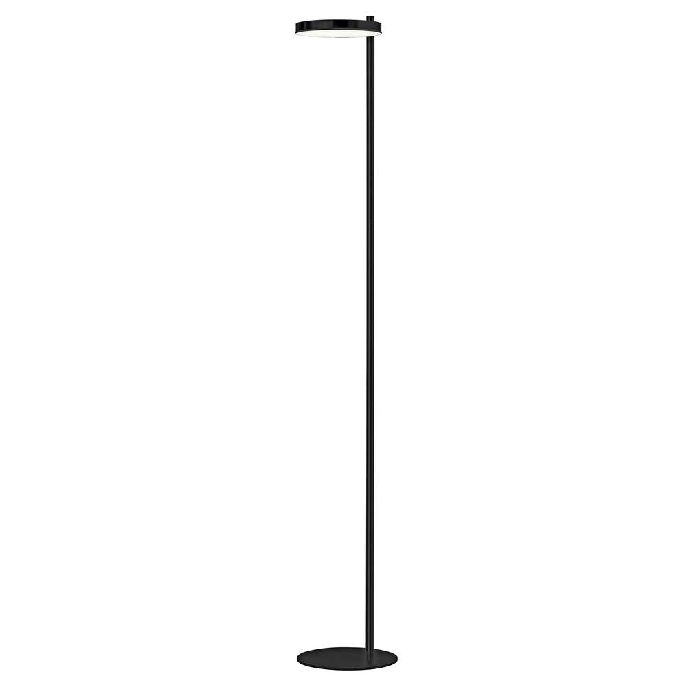 1 Light LED Fia Floor Lamp Matte Black