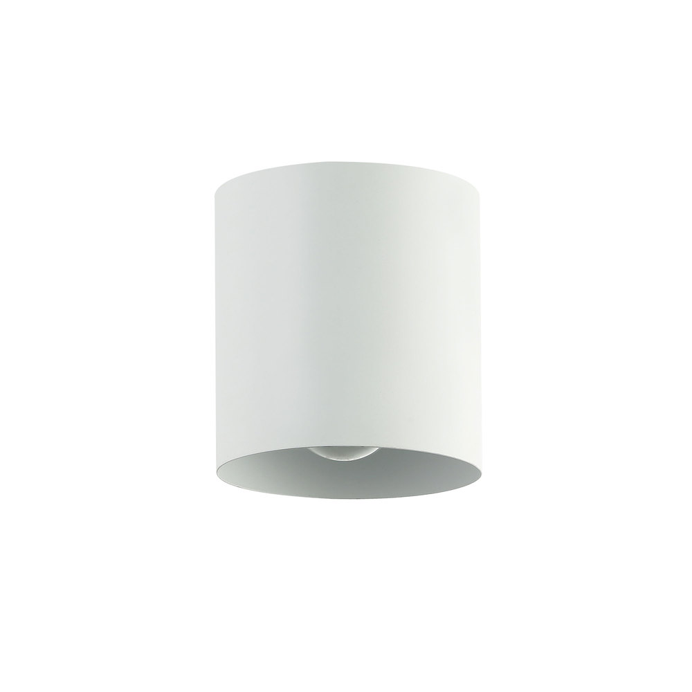 1 Light Flush Mount, Matte White